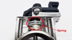 SP-EV-replacement-spring-for-ev-exhaust-valves-(1).jpg